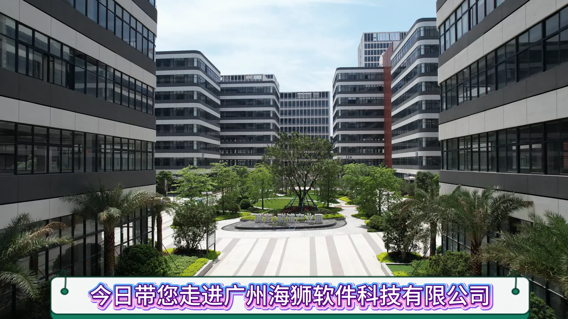 海狮动态